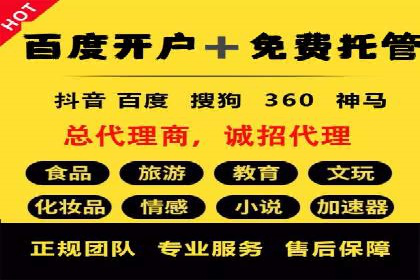 案例分析：托管SEM竞价助力电商旺季促销